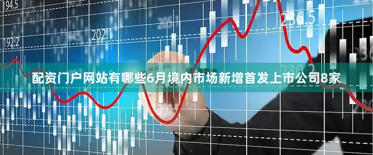 配资门户网站有哪些6月境内市场新增首发上市公司8家