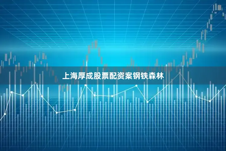 上海厚成股票配资案钢铁森林