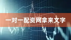 一对一配资网拿来文字