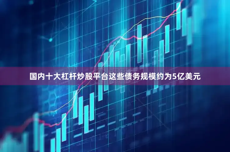 国内十大杠杆炒股平台这些债务规模约为5亿美元